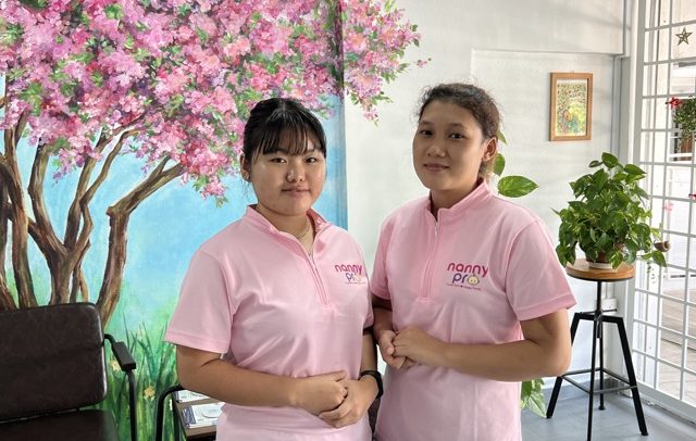 Nanny Pro